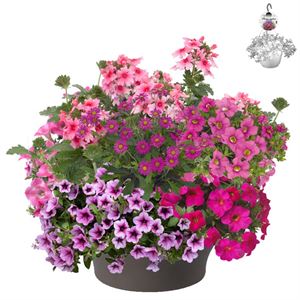 Bild von HP30 XXL Mix 06